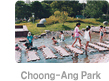Choong-Ang Park